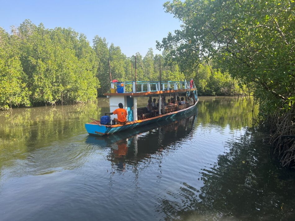 Boottocht door de mangrove